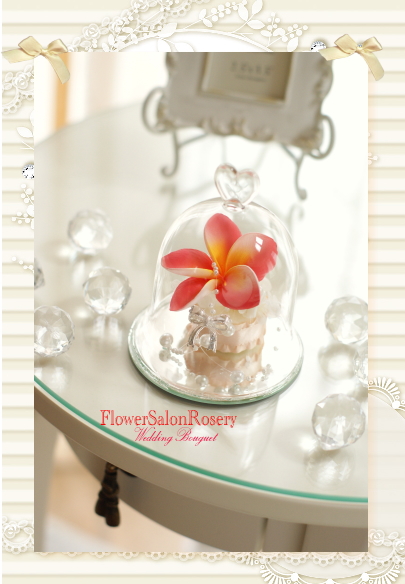 �v���U�[�u�h�t�����[�̃K���X�A�����W