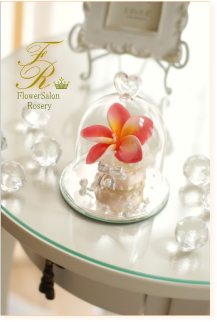 �v���U�[�u�h�t�����[�̃A�����W