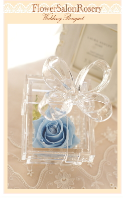 �v���U�[�u�h�t�����[�̃A�����W