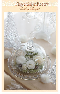 �v���U�[�u�h�t�����[�̃h�[���A�����W