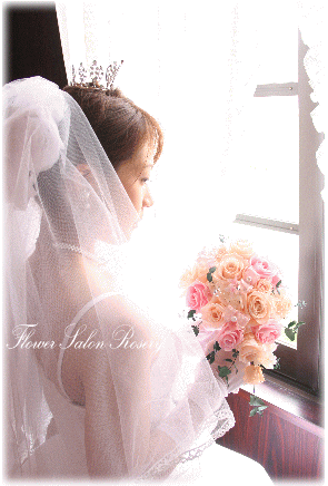 �v���U�[�u�h�t�����[�̃u�[�P