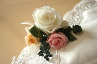 �v���U�[�u�h�t�����[�̃u�[�g�j�A