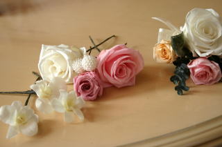 �v���U�[�u�h�t�����[�̔�����