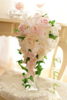 �v���U�[�u�h�t�����[�̃o�b�N�u�[�P