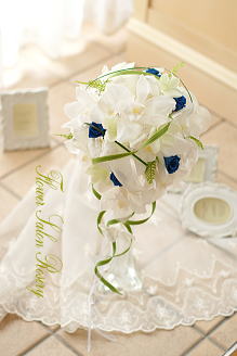 �v���U�[�u�h�t�����[�̃u�[�P