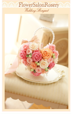 �v���U�[�u�h�t�����[�̃o�b�N�u�[�P