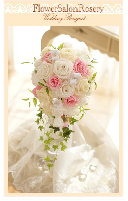 �u���C�_���u�[�P