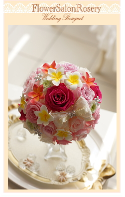 �v���U�u�[�u�h�t�����[�̃u�[�P