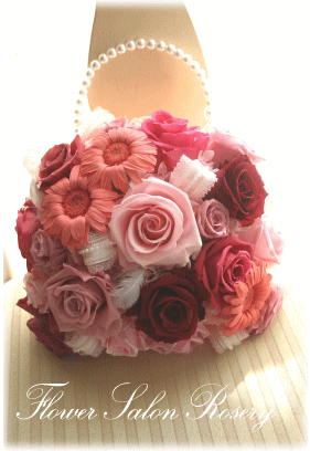 �v���U�[�E�h�t�����[�̃o�b�N�u�[�P