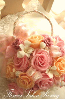 �v���U�[�u�h�t�����[�̃o�b�N�u�[�P