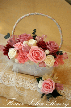 �v���U�[�u�h�t�����[�̃o�b�N�u�[�P