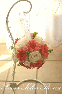 �v���U�[�u�h�t�����[�̃{�[���u�[�P