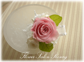 �v���U�[�u�h�t�����[�̃u�[�g�j�A