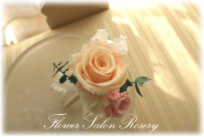 �v���U�[�u�h�t�����[�̃u�[�g�j�A