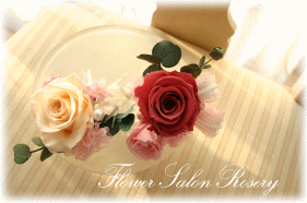 �v���U�[�u�h�t�����[�̃u�[�g�j�A