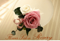 �v���U�[�u�h�t�����[�̃R�T�[�W��