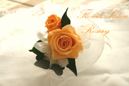 �v���U�[�u�h�t�����[�̃u�[�g�j�A