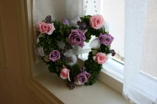 �K�[�����h���[�X