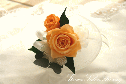 �v���U�[�u�h�t�����[�̃u�[�g�j�A