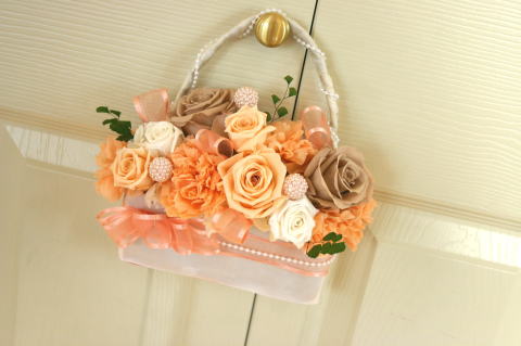 �v���U�[�u�h�t�����[�A�����W�̃��[�Y�o�b�N