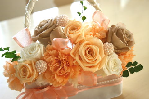 �v���U�[�u�h�t�����[�̃A�����W