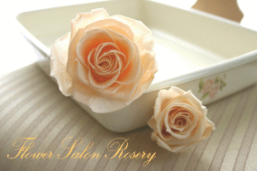 �u�[�P�Ɏg�p���郍�[�Y