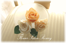 �v���U�[�u�h�t�����[�̔�����