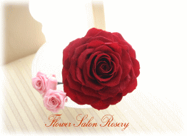 �v���U�[�u�h�t�����[�̔�����