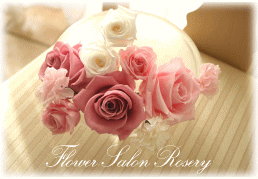 �v���U�[�u�h�t�����[�̔�����