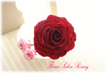 �v���U�[�u�h�t�����[�̔�����