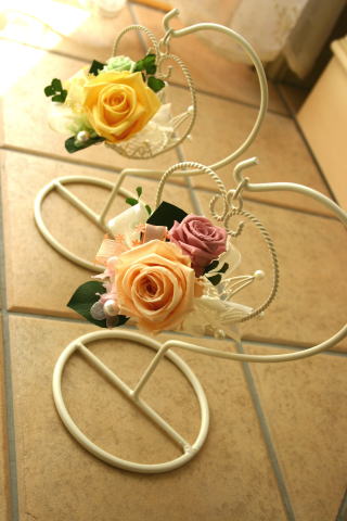 �v���U�[�u�h�t�����[�A�����W�̃R�T�[�W��