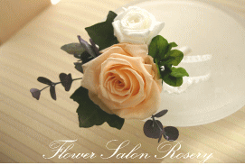 �v���U�[�u�h�t�����[�̃R�T�[�W��