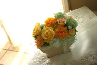 �v���U�[�u�h�t�����[�̃A�����W���C�G���[�n�ŁE�E