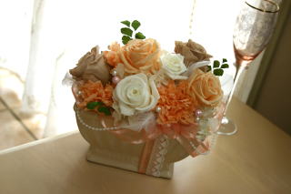 �v���U�[�u�h�t�����[�A�����W�̐��k��i