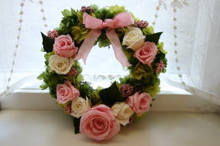 ���E���h���[�X