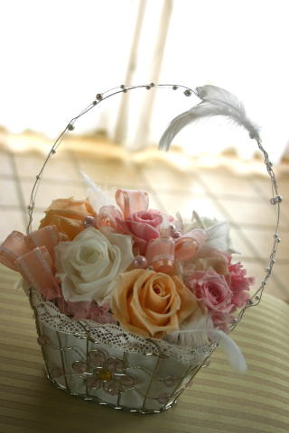 �v���U�[�u�h�t�����[�̃A�����W