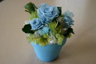 �e���R�b�^�A�����W